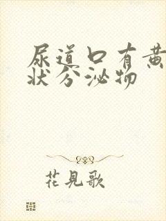 尿道口有黄色脓状分泌物封面