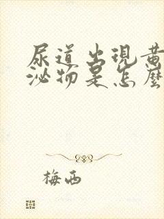 尿道出现黄色分泌物是怎么回事