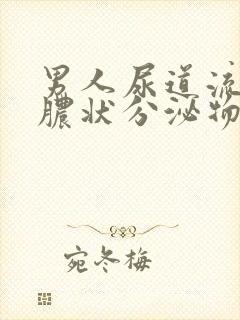 男人尿道流出黄脓状分泌物封面