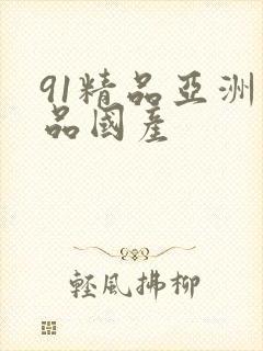 91精品亚洲精品国产