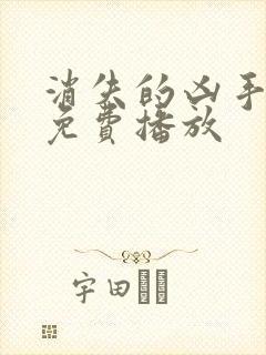 消失的凶手杨莫免费播放