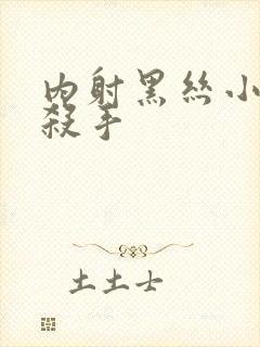 内射黑丝小少妇杀手