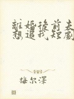 离婚后前夫总是想追我短剧