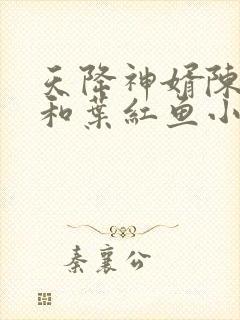 天降神婿陈黄皮和叶红鱼小说封面