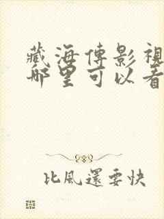 藏海传影视版在哪里可以看封面