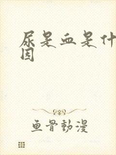 尿是血是什么原因封面