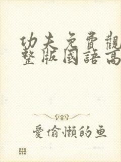 功夫免费观看完整版国语高清电影封面