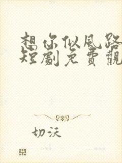 想你似风路过我短剧免费观看