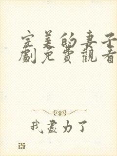 完美的妻子3韩剧免费观看完整版