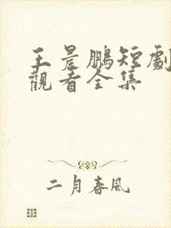 王晨鹏短剧免费观看全集