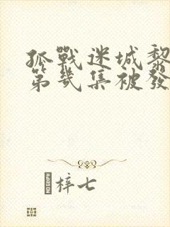 孤战迷城黎少堂第几集被发现封面