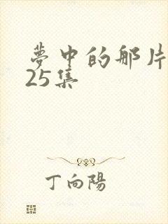 梦中的那片海第25集