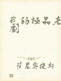 我的极品老婆短剧