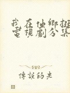 我在他乡挺好的电视剧分集剧情介绍