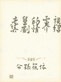 老舅的电视剧分集剧情介绍