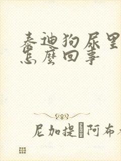 泰迪狗尿里带血怎么回事封面