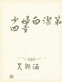 少妇白洁第三十四章