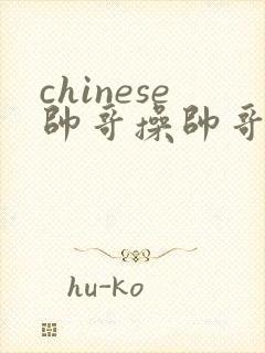 chinese帅哥操帅哥网站