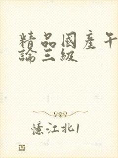 精品国产午夜理论三级