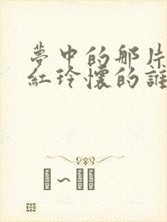 梦中的那片海贺红玲怀的谁的孩子