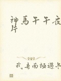 神马午午夜伦理片封面