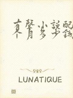 有声小说配音一个月多少钱封面