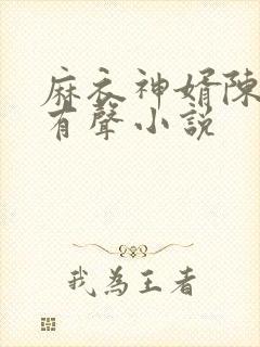 麻衣神婿陈黄皮有声小说