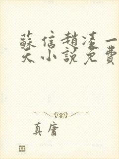 苏信赵凌一剑霸天小说免费封面