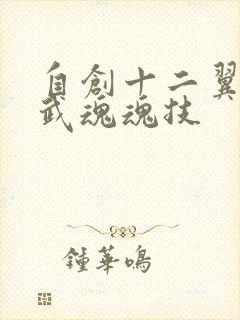 自创十二翼天使武魂魂技