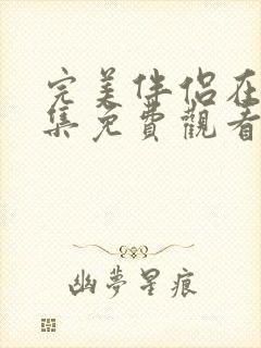 完美伴侣在线全集免费观看