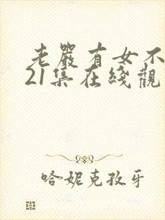 老严有女不愁嫁21集在线观看