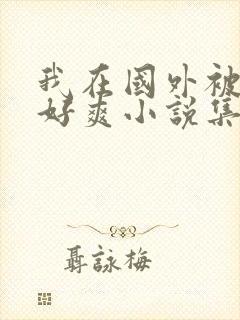 我在国外被黑人好爽小说集封面