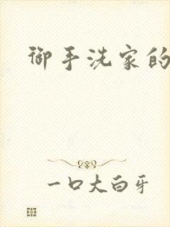 御手洗家的姐姐封面