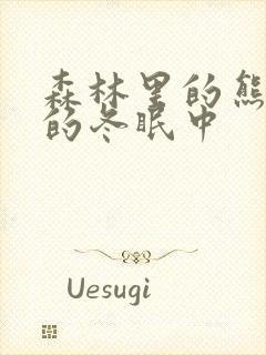 森林里的熊先生的冬眠中