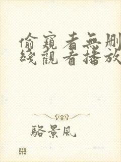 偷窥者无删减在线观看播放