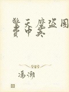 惊天魔盗团1免费中英