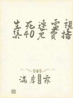 生死连电视剧全集40免费播放