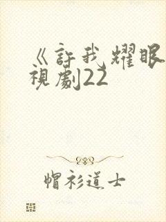 《许我耀眼》电视剧22封面