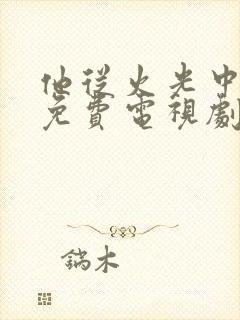 他从火光中走来免费电视剧