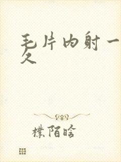 毛片内射一次久久