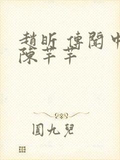 赵昕 传闻中的陈芊芊封面