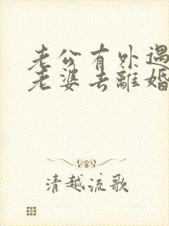 老公有外遇逼着老婆去离婚