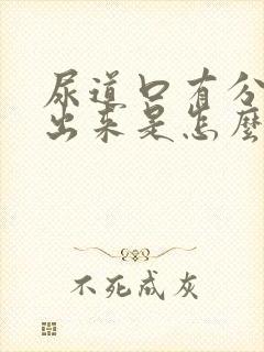 尿道口有分泌物出来是怎么回事