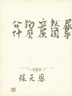 公狗突然尿血是什么原因导致的封面