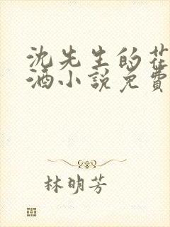 沈先生的花式调酒小说免费阅读