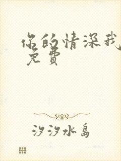 你的情深我不配 免费