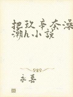 把玖辛奈澡到高潮h小说封面