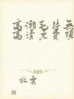 高潮毛片无遮挡高清免费视频毛多