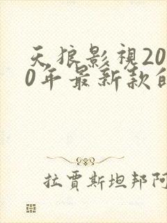 天狼影视2020年最新款的电视剧2345