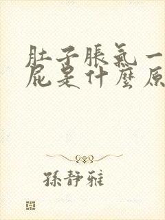 肚子胀气一直放屁是什么原因